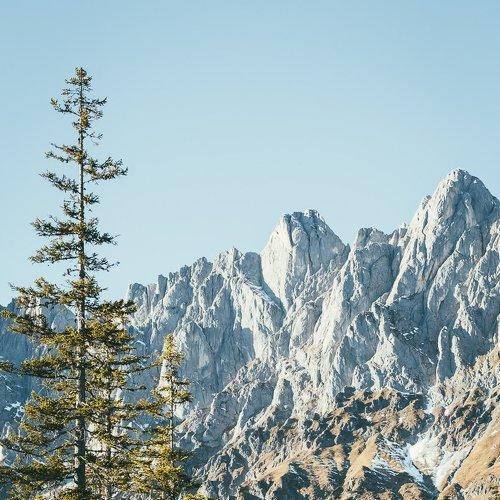 Превью фотографии фотографа Nikita Leksikov