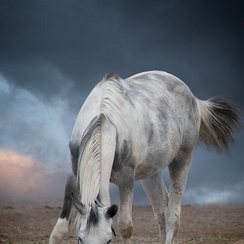Превью фотографии фотографа Artur Barczyński