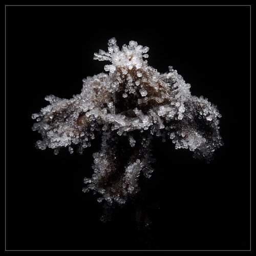 Превью фотографии фотографа Alexander Svetlov