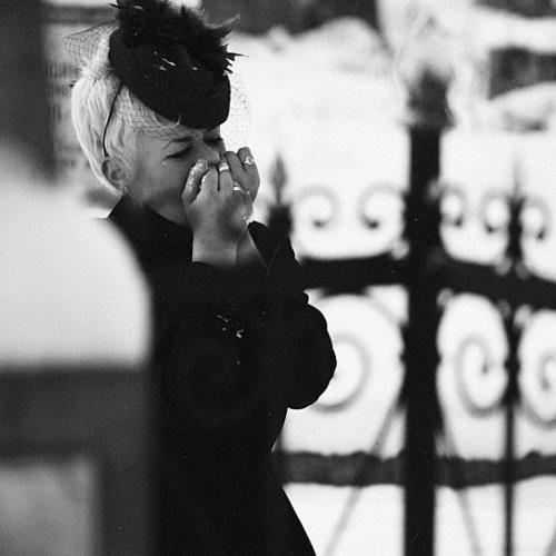 Preview Photographer\'s photo Valerii Batai