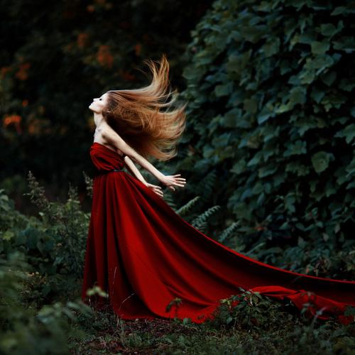 Превью фотографии фотографа Наталья Санникова