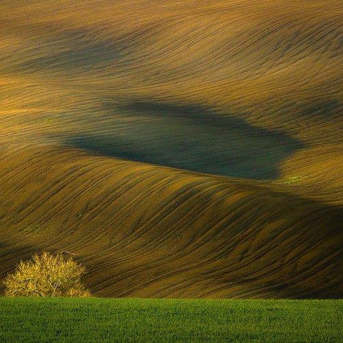 Preview Photographer\'s photo František Uhler