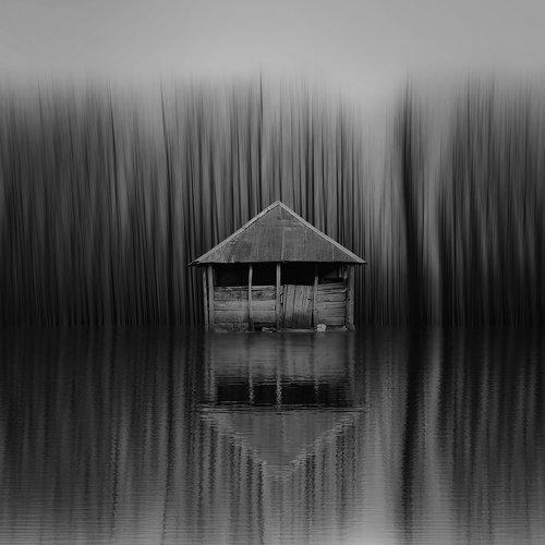 Preview Photographer\'s photo Hossein Mehrzad