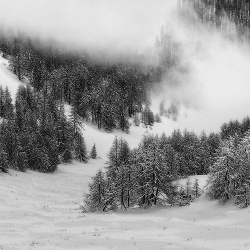 Preview Photographer\'s photo ALLA SOKOLOVA