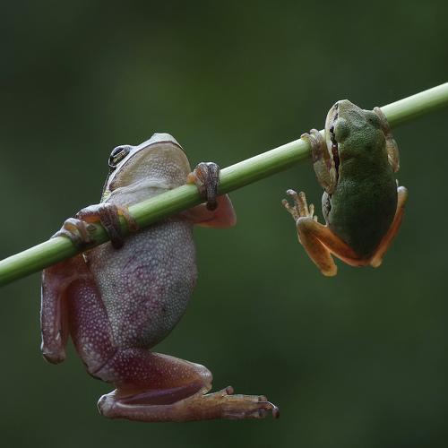 Preview Photographer\'s photo Savas Sener