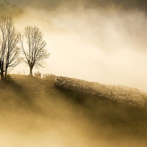 Preview Photographer\'s photo Marius Turc