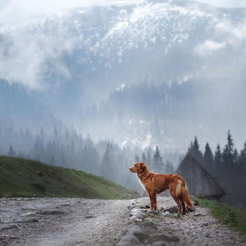 Preview Photographer\'s photo Анна Аверьянова