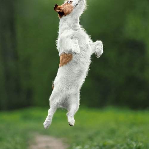 Превью фотографии фотографа Светлана Писарева