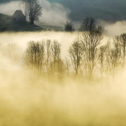 Preview Photographer\'s photo Marius Turc