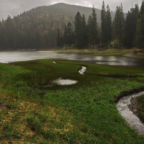 Preview Photographer\'s photo Артур Козлов