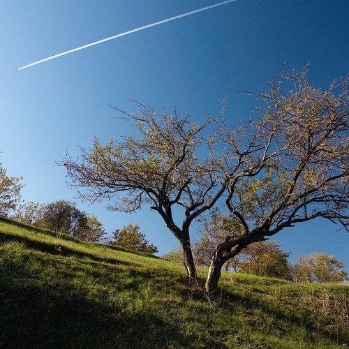 Превью фотографии фотографа Сергей Богачёв