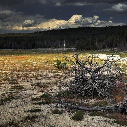 Preview Photographer\'s photo Pavel