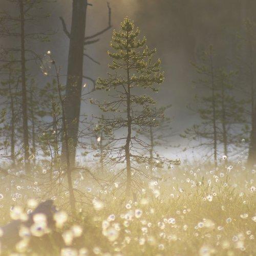 Превью фотографии фотографа Виктор