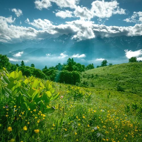 Превью фотографии фотографа Александр Пругов
