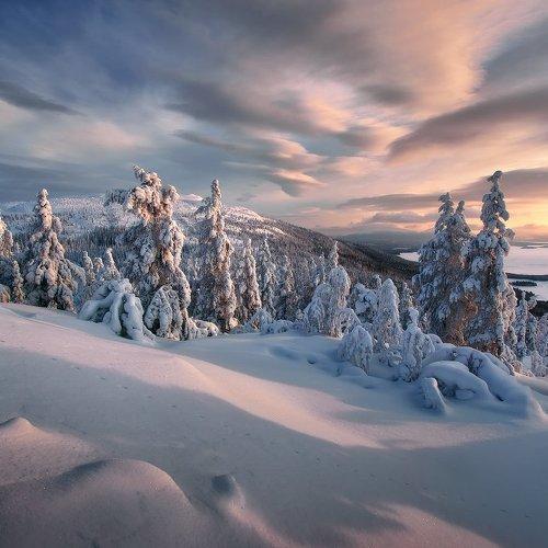 Превью фотографии фотографа Евгений Ляпунов