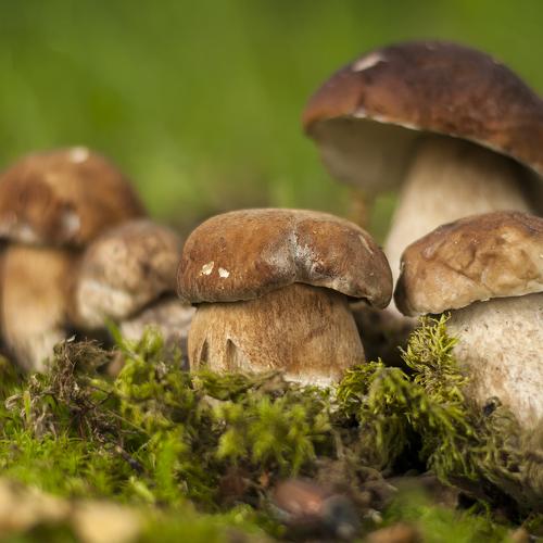 Preview Photographer\'s photo Daiva Cirtautė