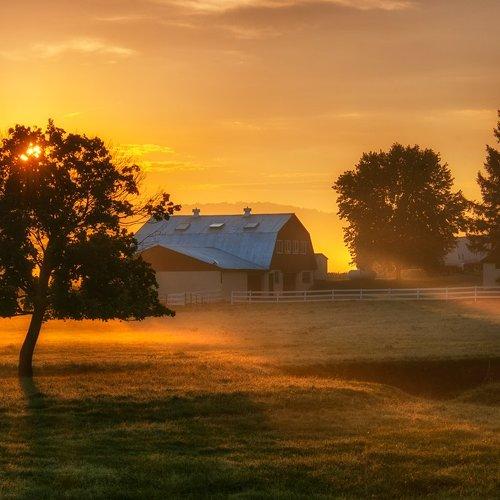 Preview Photographer\'s photo Donald Reese