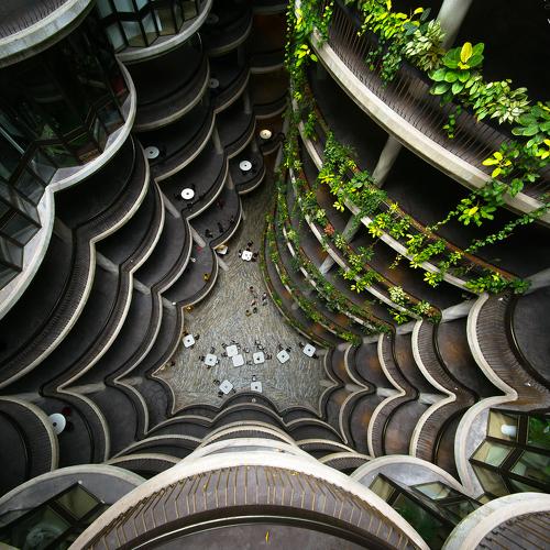 Preview Photographer\'s photo Tran Minh Dung