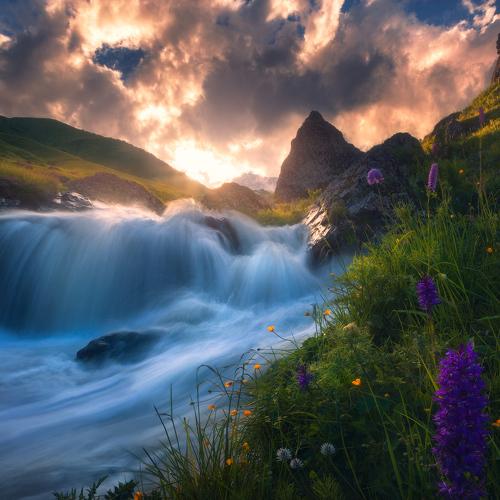 Превью фотографии фотографа sozel