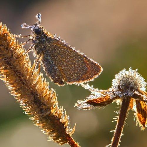 Превью фотографии фотографа Елена Соловьёва