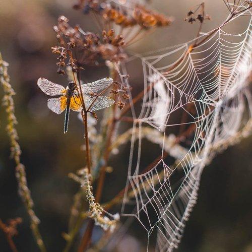 Превью фотографии фотографа Коровин Кирилл