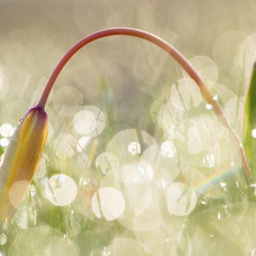 Превью фотографии фотографа Александр Иванов