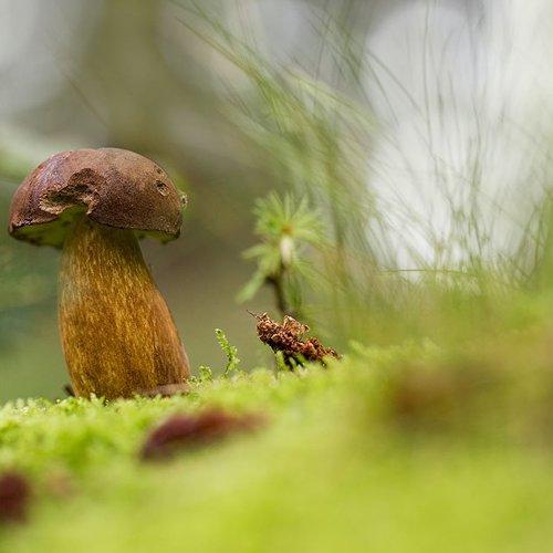 Preview Photographer\'s photo Viktor Schneider