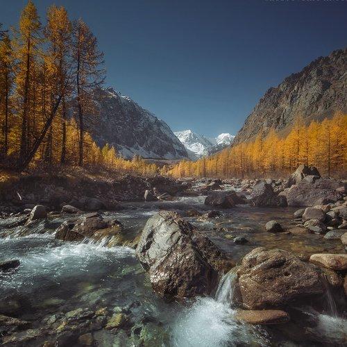 Превью фотографии фотографа Ростовский Антон