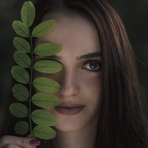 Preview Photographer\'s photo Guzun Roman