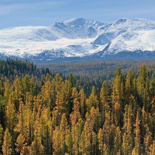 Превью фотографии фотографа Алексей Родак