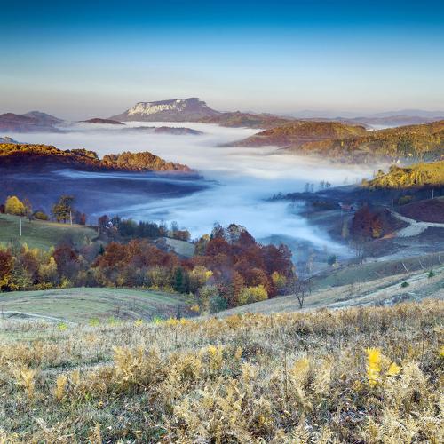 Preview Photographer\'s photo Marius Turc