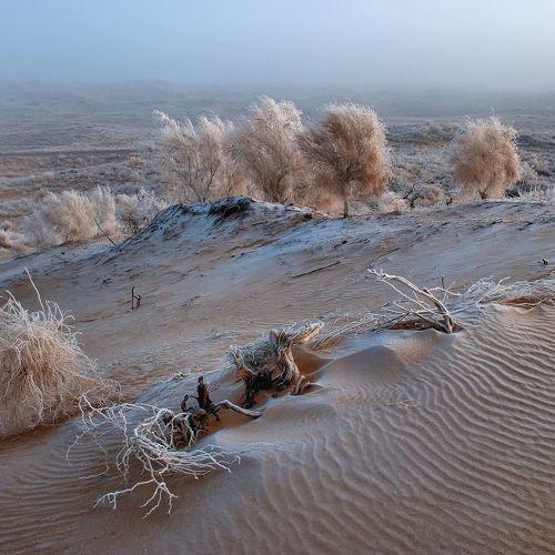 Preview Photographer\'s photo Геннадий Меремьянин