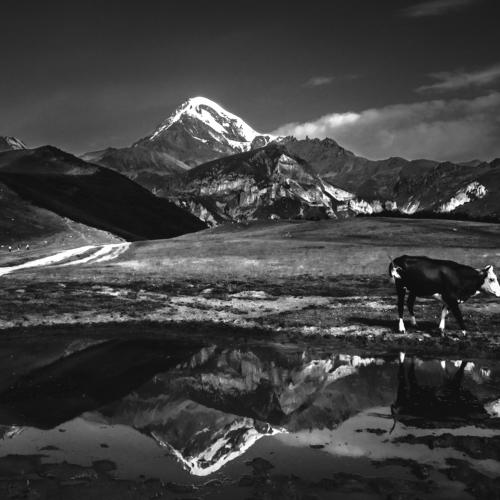 Превью фотографии фотографа Miane Da