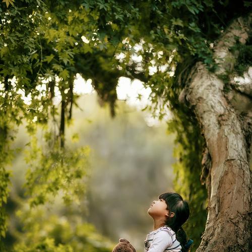 Превью фотографии фотографа Despird Zhang