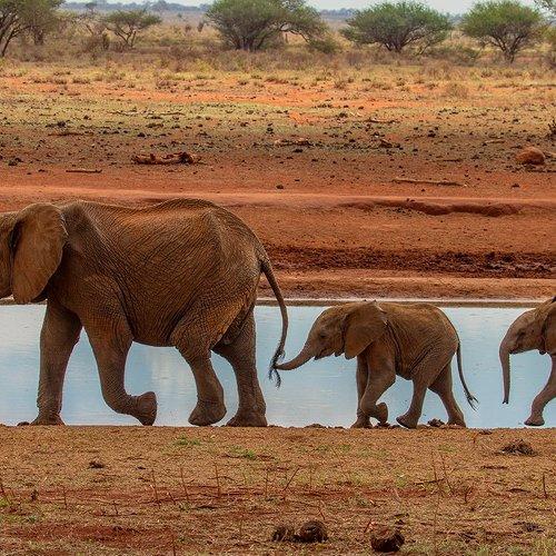 Превью фотографии фотографа Silvestr Szabó