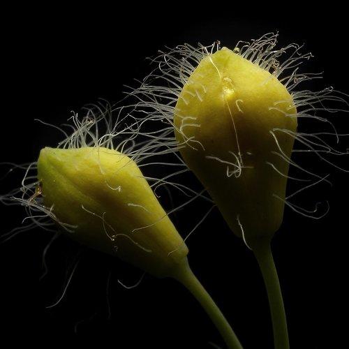 Превью фотографии фотографа Alexander Svetlov