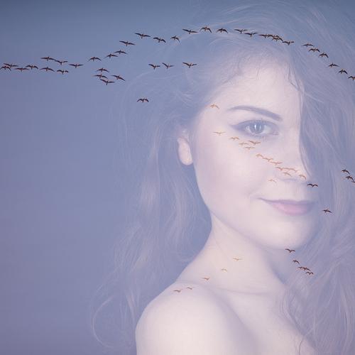 Превью фотографии фотографа Andris Apshenieks