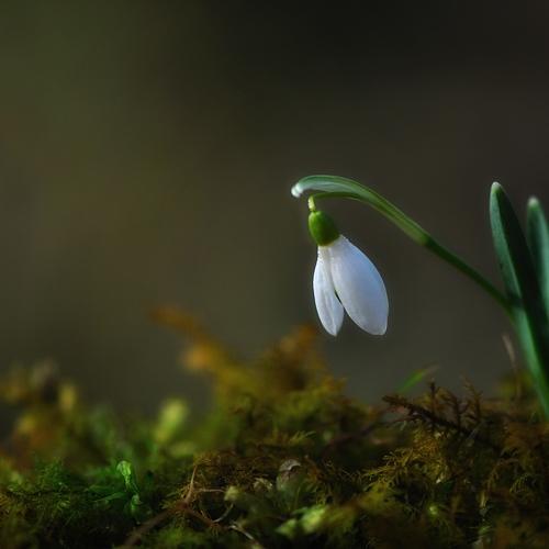 Превью фотографии фотографа Наталия К