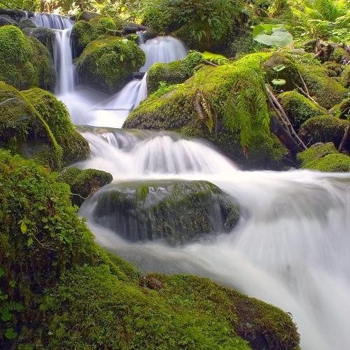 Превью фотографии фотографа Евгений Никишин