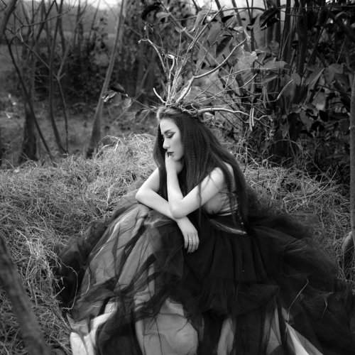 Preview Photographer\'s photo Trinh Quoc Cuong