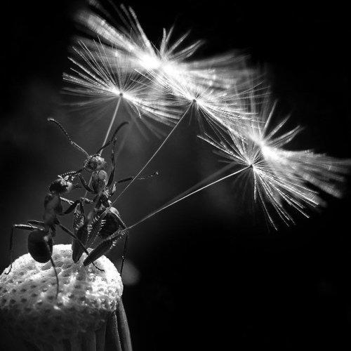 Preview Photographer\'s photo Vitalii