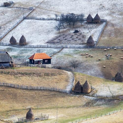 Preview Photographer\'s photo Marius Turc