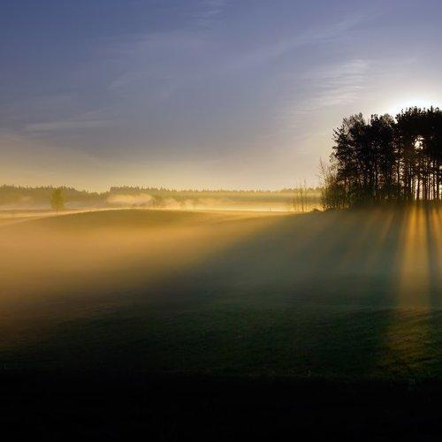 Preview Photographer\'s photo Rimantas Bikulcius