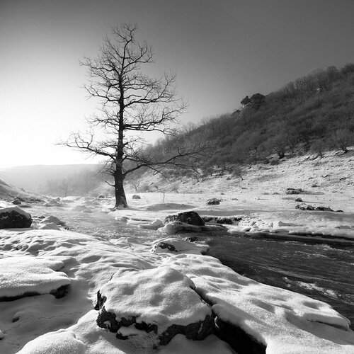 Preview Photographer\'s photo Sergey Braga