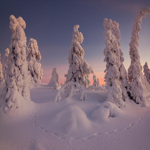 Превью фотографии фотографа Истомин Виталий
