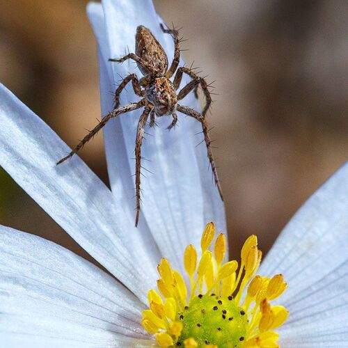 Превью фотографии фотографа Владимир Сковородников