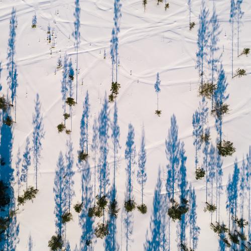 Превью фотографии фотографа Михаил Проскалов