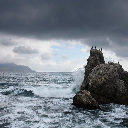 Preview Photographer\'s photo Артур Козлов