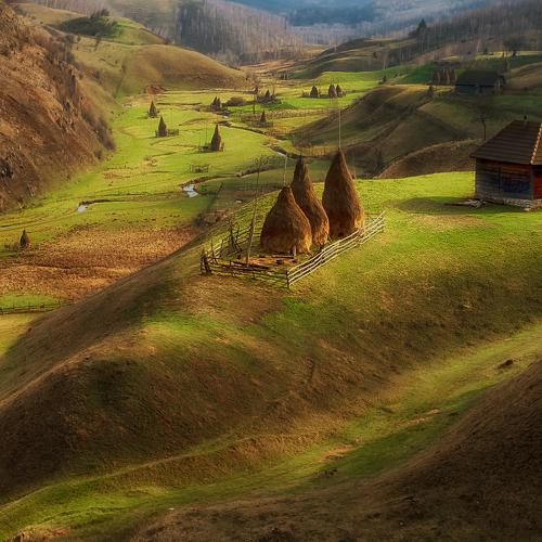 Preview Photographer\'s photo Тодор Танев