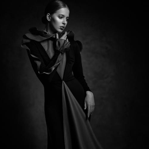 Preview Photographer\'s photo Шевченко Юрий